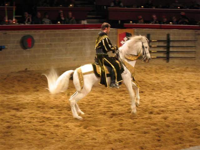 Medieval Times - Shannons 23rd Bday 43.JPG